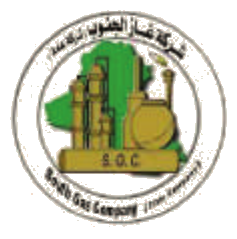 South Gas Company